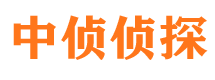 天桥市私家侦探